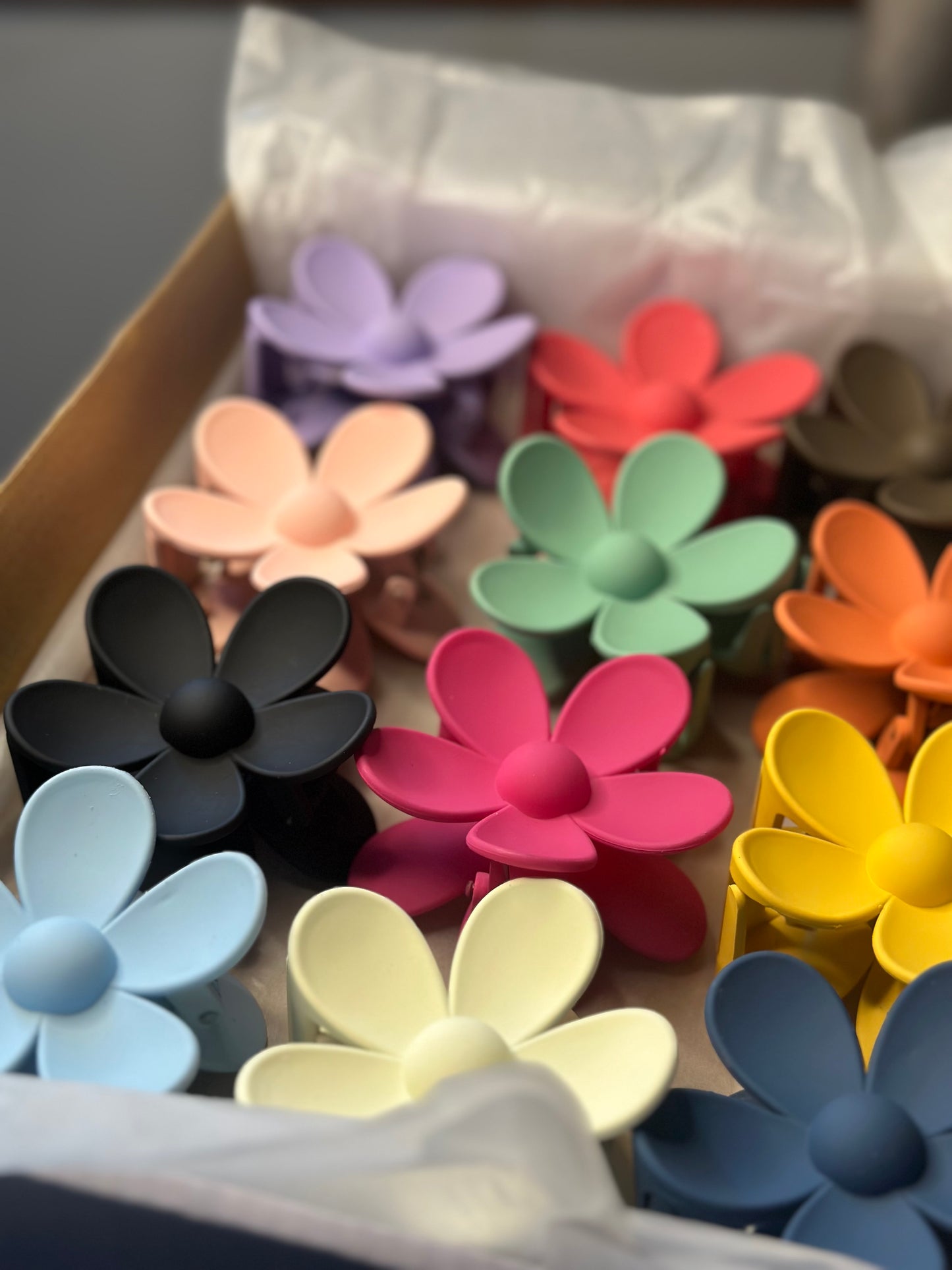 Full size claw clips - Set of 12